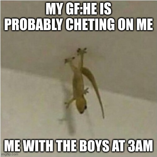 Me and the boys |  MY GF:HE IS PROBABLY CHETING ON ME; ME WITH THE BOYS AT 3AM | image tagged in lol,gecko,gfs,lizard,australia,funny | made w/ Imgflip meme maker
