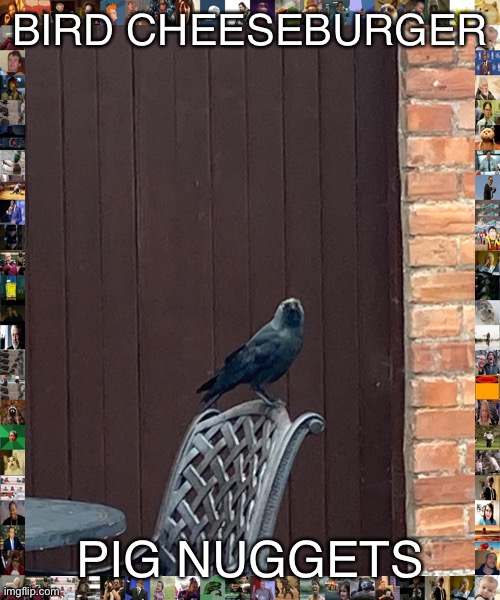 Death bird | BIRD CHEESEBURGER; PIG NUGGETS | image tagged in death bird,shitpost | made w/ Imgflip meme maker