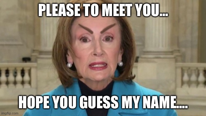 Guess my name | PLEASE TO MEET YOU…; HOPE YOU GUESS MY NAME…. | image tagged in one eyebrow to rule,memes,funny,upvote | made w/ Imgflip meme maker