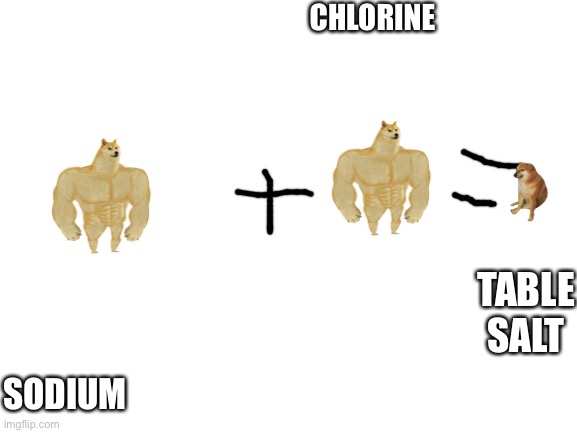 Blank White Template | CHLORINE; TABLE SALT; SODIUM | image tagged in blank white template | made w/ Imgflip meme maker