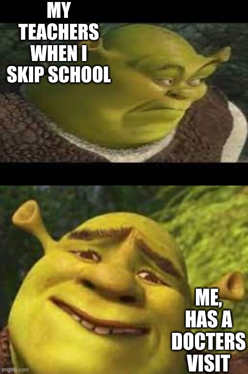 Shrek oops | MY TEACHERS WHEN I SKIP SCHOOL; ME, HAS A DOCTERS VISIT | image tagged in shrek | made w/ Imgflip meme maker