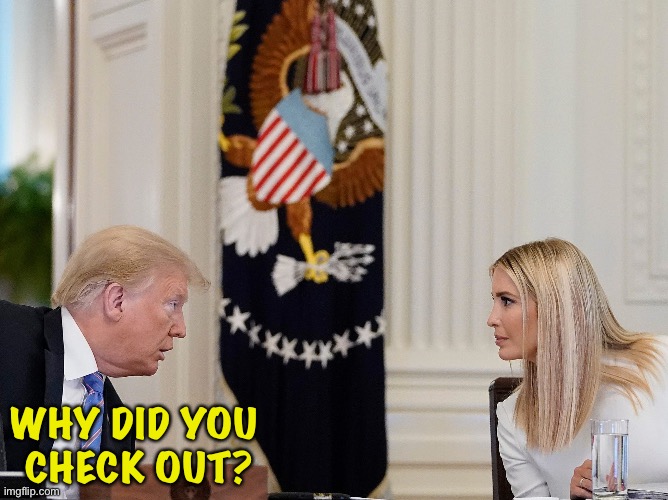 "Nice meltdown, Daddy!" | WHY DID YOU 
CHECK OUT? | image tagged in trump ivanka | made w/ Imgflip meme maker