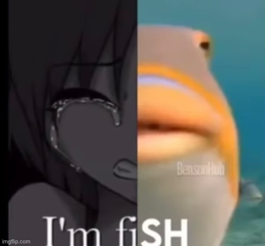 When fish | image tagged in fish,im fine,why,you,read | made w/ Imgflip meme maker