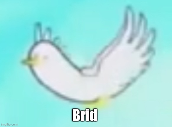 Brid | made w/ Imgflip meme maker