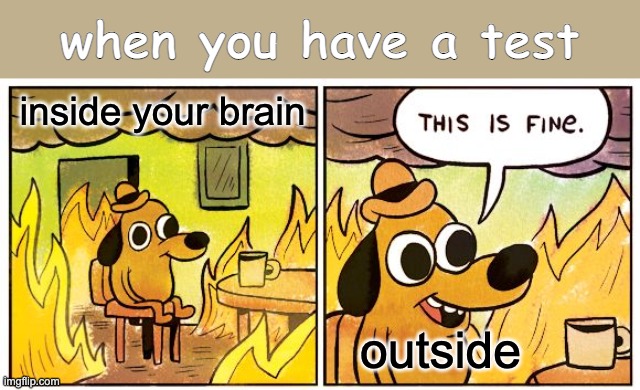 When you have a test | when you have a test; inside your brain; outside | image tagged in memes,this is fine,funny memes,school | made w/ Imgflip meme maker