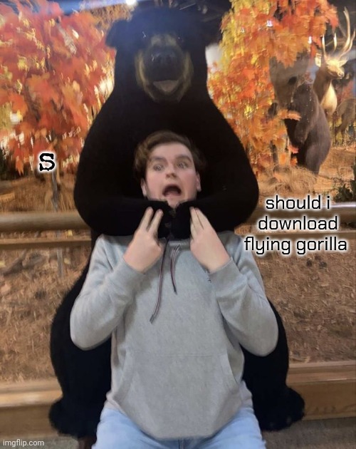 The him | s; should i download flying gorilla | image tagged in the him | made w/ Imgflip meme maker