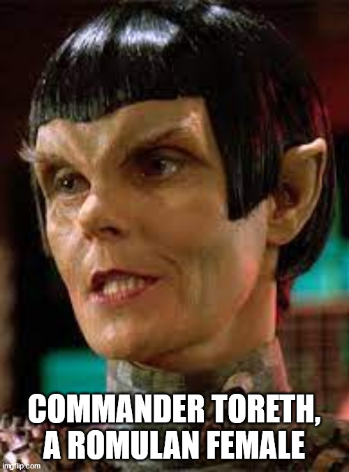 Romulan | COMMANDER TORETH, A ROMULAN FEMALE | image tagged in romulan | made w/ Imgflip meme maker