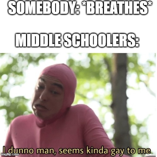 I dunno man seems kinda gay to me | SOMEBODY: *BREATHES*; MIDDLE SCHOOLERS: | image tagged in i dunno man seems kinda gay to me | made w/ Imgflip meme maker