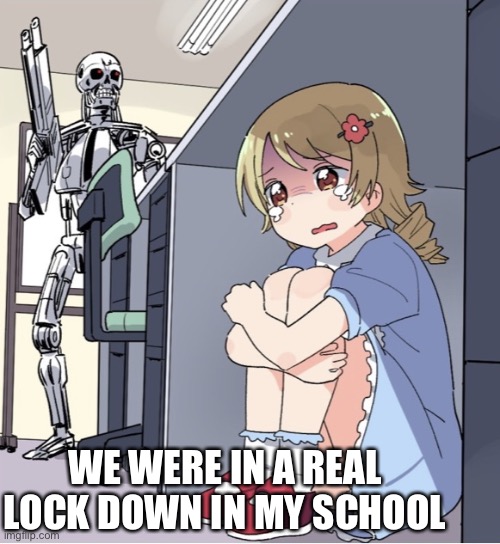 Anime Girl Hiding from Terminator | WE WERE IN A REAL LOCK DOWN IN MY SCHOOL | image tagged in anime girl hiding from terminator | made w/ Imgflip meme maker