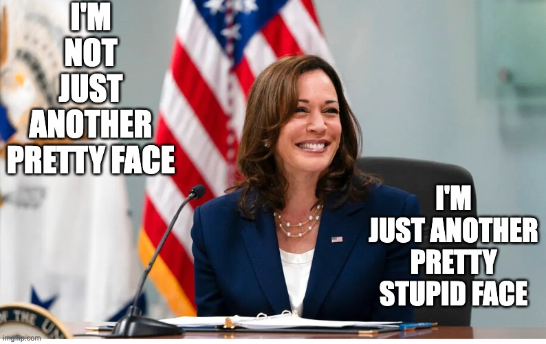 I'M NOT JUST ANOTHER PRETTY FACE; I'M JUST ANOTHER PRETTY STUPID FACE | image tagged in kamala harris,where am i | made w/ Imgflip meme maker