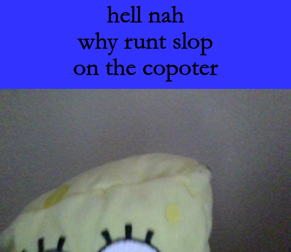 High Quality hell nah why runt slop on the copoter Blank Meme Template