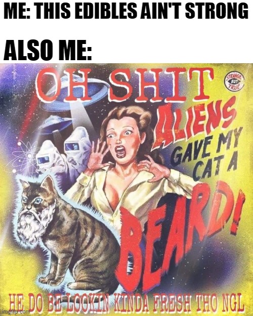 ALSO ME:; ME: THIS EDIBLES AIN'T STRONG | made w/ Imgflip meme maker