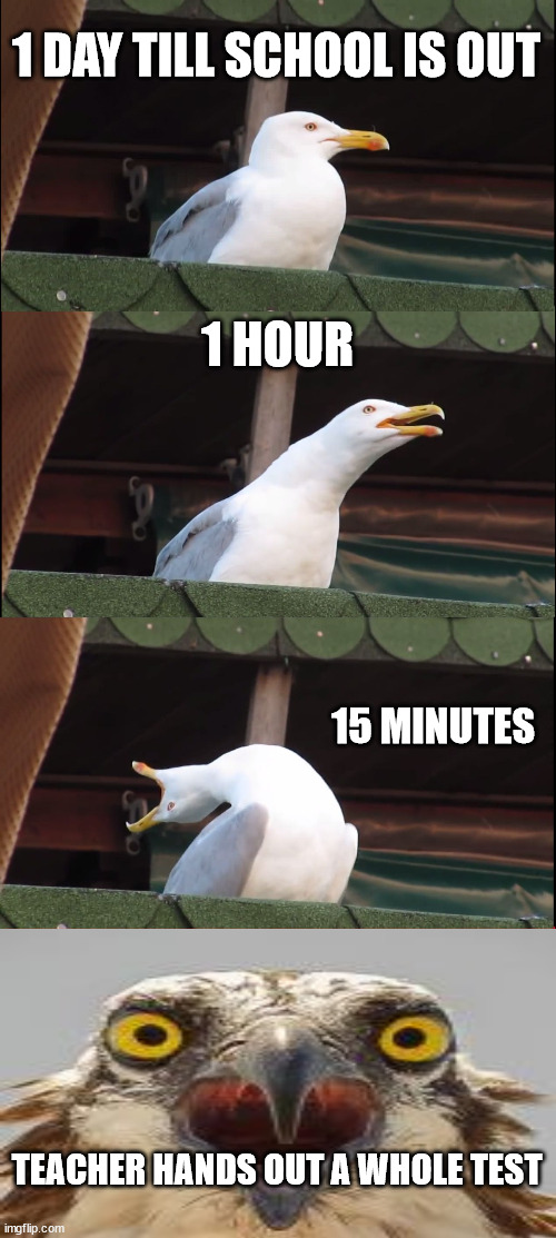 Inhaling Seagull | 1 DAY TILL SCHOOL IS OUT; 1 HOUR; 15 MINUTES; TEACHER HANDS OUT A WHOLE TEST | image tagged in memes,inhaling seagull,last day of school,school count down,funny | made w/ Imgflip meme maker