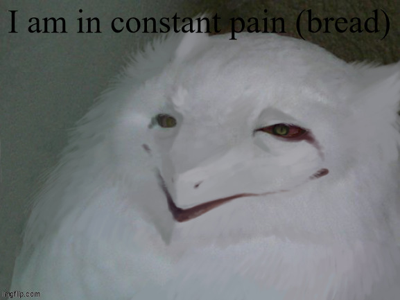 an egg | I am in constant pain (bread) | image tagged in a literal egg | made w/ Imgflip meme maker