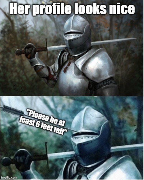 Surprise |  Her profile looks nice; "Please be at least 6 feet tall" | image tagged in knight with arrow in helmet,surprise | made w/ Imgflip meme maker