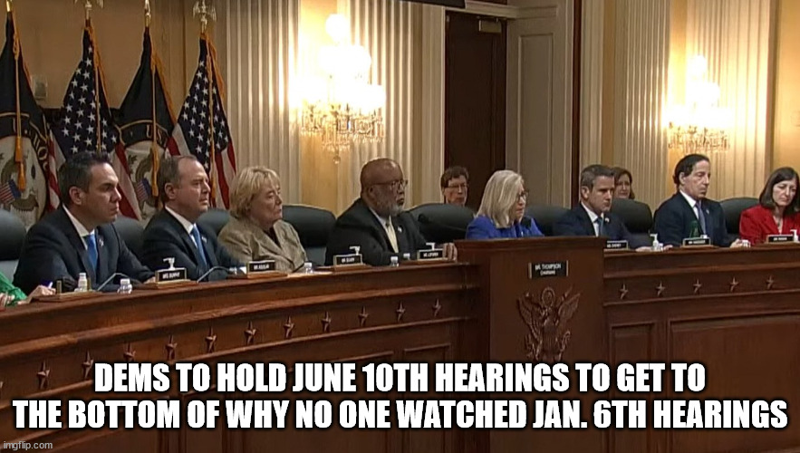 All the need is for Pelosi to pick another partisan committee... | DEMS TO HOLD JUNE 10TH HEARINGS TO GET TO THE BOTTOM OF WHY NO ONE WATCHED JAN. 6TH HEARINGS | image tagged in democrat,satire | made w/ Imgflip meme maker