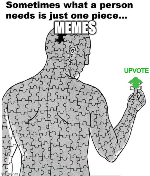 Sometimes what a person needs is just one piece | MEMES; UPVOTE | image tagged in sometimes what a person needs is just one piece | made w/ Imgflip meme maker