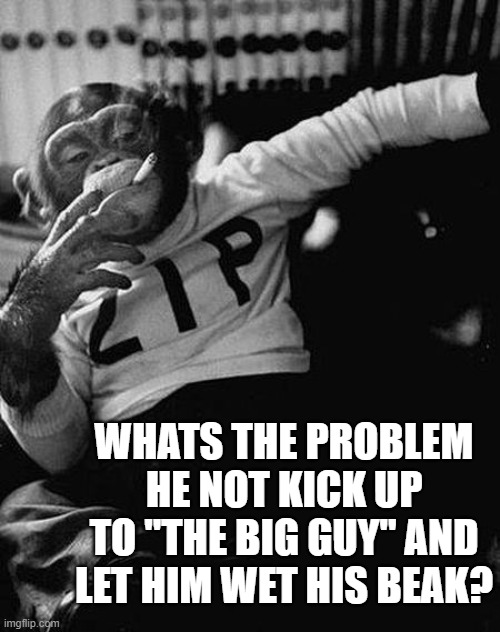 Zip the Smoking Chimp | WHATS THE PROBLEM HE NOT KICK UP TO "THE BIG GUY" AND LET HIM WET HIS BEAK? | image tagged in zip the smoking chimp | made w/ Imgflip meme maker