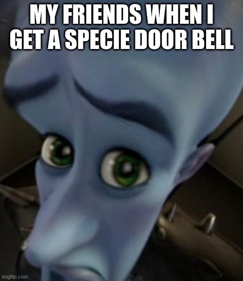 Sad Megamind | MY FRIENDS WHEN I GET A SPECIE DOOR BELL | image tagged in no bitches | made w/ Imgflip meme maker