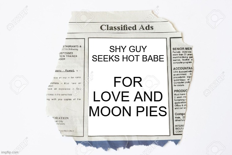 This is an ad in the personals columm | SHY GUY SEEKS HOT BABE; FOR LOVE AND MOON PIES | image tagged in classified ads,relationships,funny | made w/ Imgflip meme maker