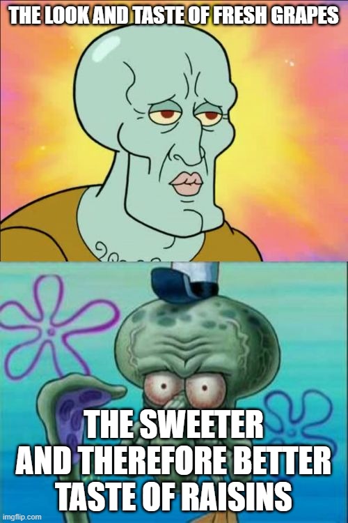 Squidward | THE LOOK AND TASTE OF FRESH GRAPES; THE SWEETER AND THEREFORE BETTER TASTE OF RAISINS | image tagged in memes,squidward | made w/ Imgflip meme maker