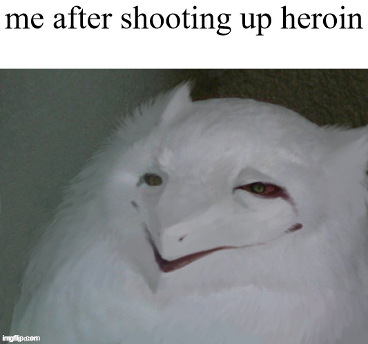 h i g h | me after shooting up heroin | image tagged in a literal egg | made w/ Imgflip meme maker