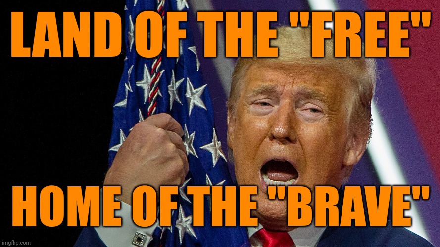 donald trump ejaculating into an American flag | LAND OF THE "FREE" HOME OF THE "BRAVE" | image tagged in donald trump ejaculating into an american flag | made w/ Imgflip meme maker