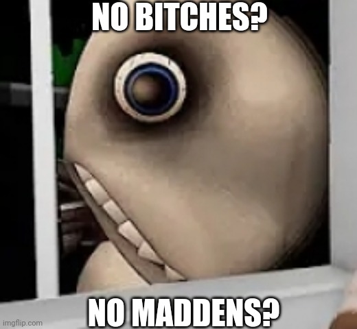 no bitches? no madden? | NO BITCHES? NO MADDENS? | image tagged in no bitches,no madden,man outside the window | made w/ Imgflip meme maker