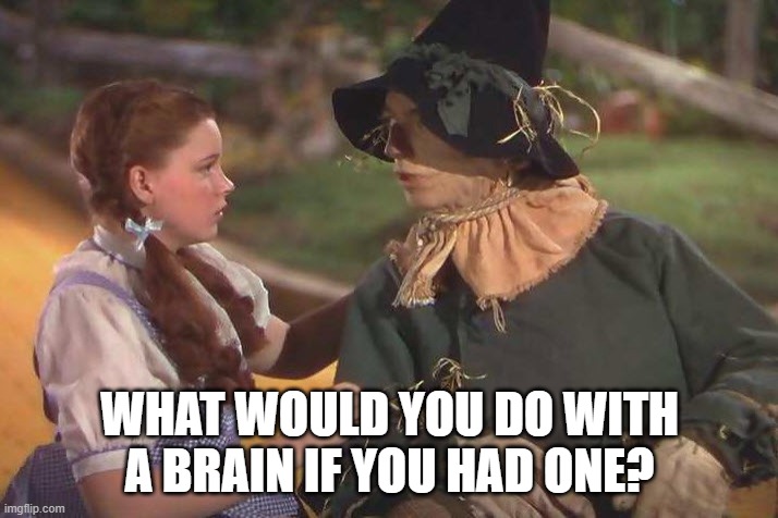 WHAT WOULD YOU DO WITH A BRAIN IF YOU HAD ONE? | made w/ Imgflip meme maker
