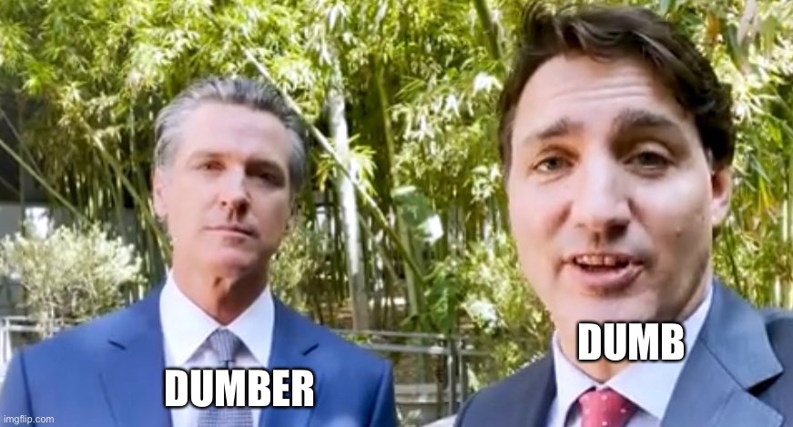 DUMBER; DUMB | image tagged in justin trudeau,governor | made w/ Imgflip meme maker