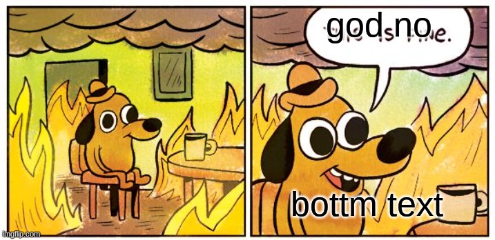 This Is Fine Meme | god no bottm text | image tagged in memes,this is fine | made w/ Imgflip meme maker