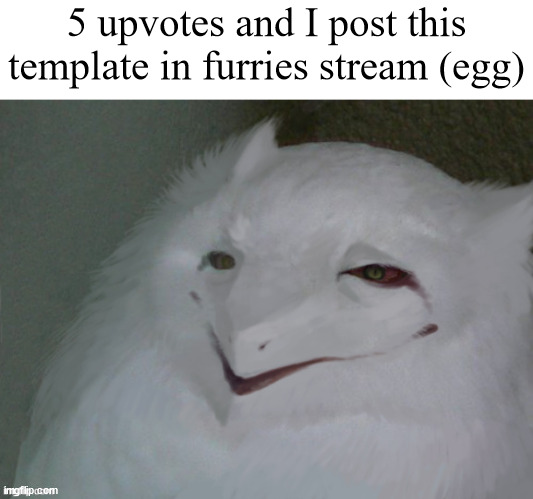 eg | 5 upvotes and I post this template in furries stream (egg) | image tagged in a literal egg | made w/ Imgflip meme maker