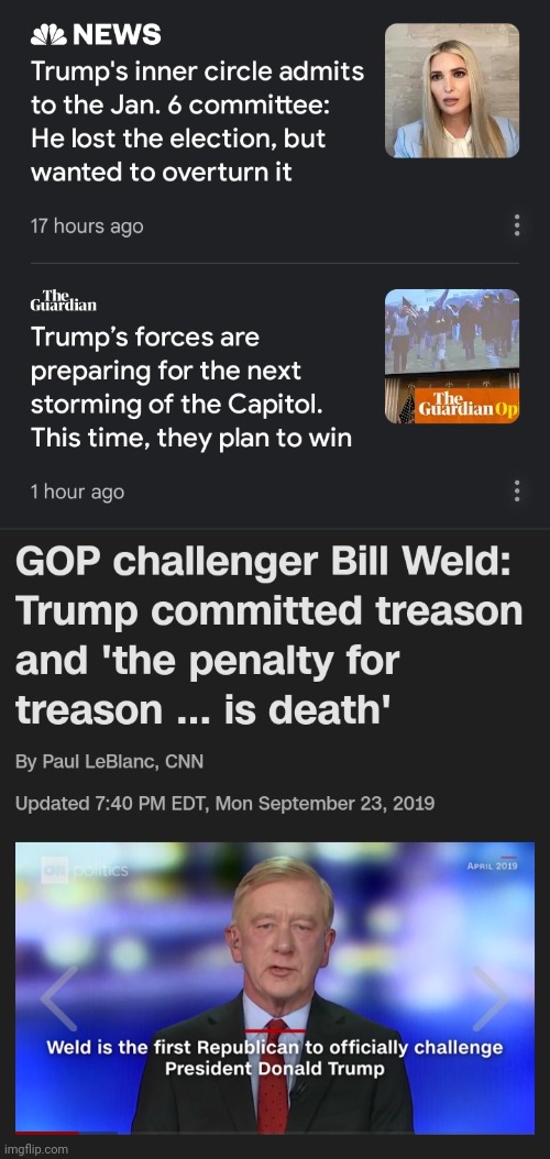 You can't overthrow a democracy and install a white supremacist dictatorship if you've been executed for treason.  Just sayin'. | image tagged in bill weld 2020,traitor trump,death penalty,white supremacy,just sayin' | made w/ Imgflip meme maker