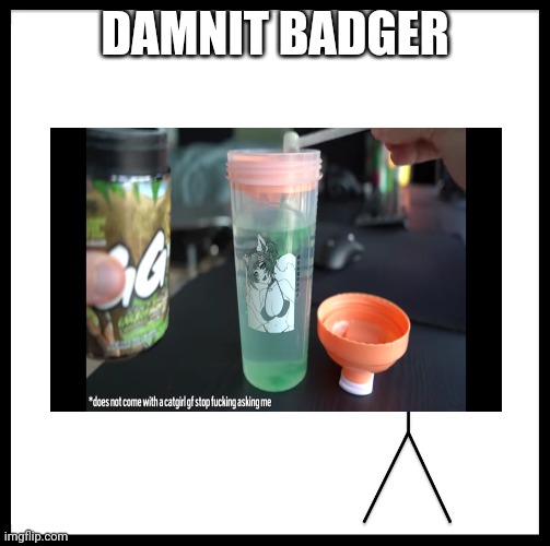 Badger how could you! (Too lazy to change background) [mod note: *squints*] | DAMNIT BADGER | image tagged in no,kill the heresy,crusader for life | made w/ Imgflip meme maker