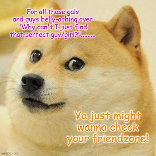 Friendzone | For all those gals and guys belly-aching over "Why can't I just find that perfect guy/girl?"......... Ya just might wanna check your friendzone! | image tagged in memes,doge | made w/ Imgflip meme maker