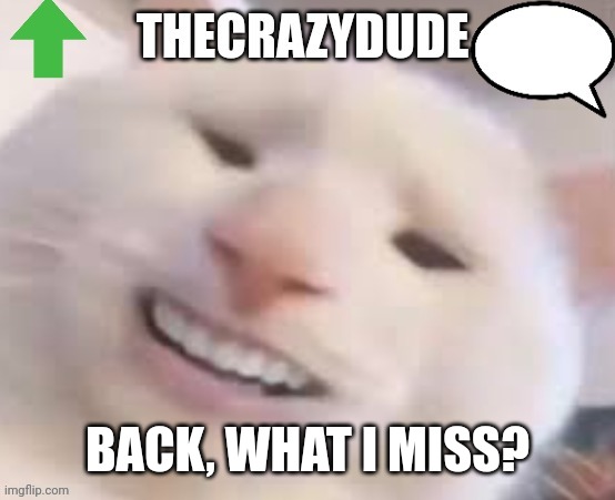 TheCrazyDude Temp 2022 | BACK, WHAT I MISS? | image tagged in thecrazydude temp 2022 | made w/ Imgflip meme maker