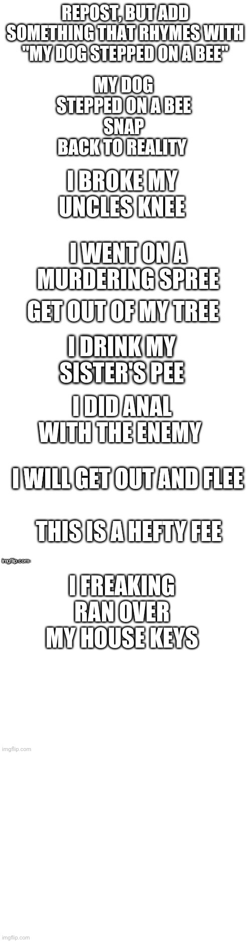 I FREAKING RAN OVER MY HOUSE KEYS | made w/ Imgflip meme maker