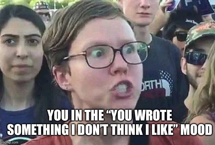 Triggered Liberal | YOU IN THE “YOU WROTE SOMETHING I DON’T THINK I LIKE” MOOD | image tagged in triggered liberal | made w/ Imgflip meme maker