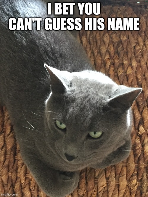 try and fail | I BET YOU CAN'T GUESS HIS NAME | made w/ Imgflip meme maker