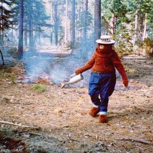 Smokey arsonist | image tagged in smokey arsonist | made w/ Imgflip meme maker