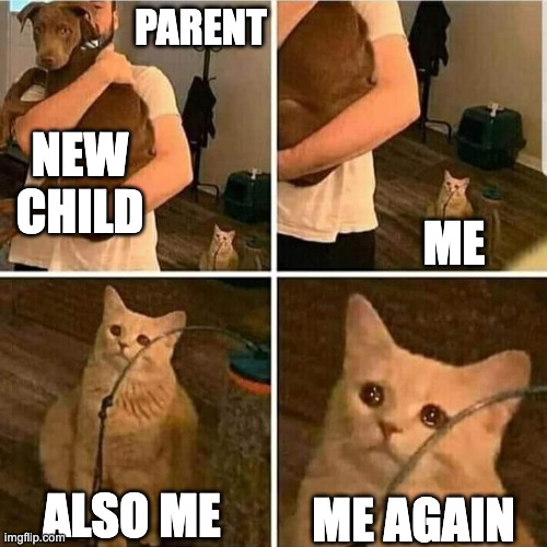Sad Cat Holding Dog | PARENT; NEW CHILD; ME; ALSO ME; ME AGAIN | image tagged in sad cat holding dog | made w/ Imgflip meme maker