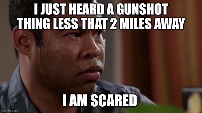 sweating bullets | I JUST HEARD A GUNSHOT THING LESS THAT 2 MILES AWAY; I AM SCARED | image tagged in sweating bullets | made w/ Imgflip meme maker