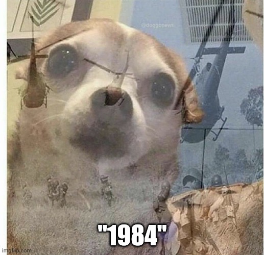 when the uhh | "1984" | image tagged in ptsd chihuahua | made w/ Imgflip meme maker