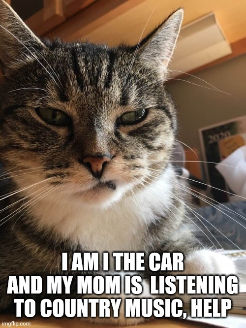 Cat Sneer | I AM I THE CAR AND MY MOM IS  LISTENING TO COUNTRY MUSIC, HELP | image tagged in cat sneer | made w/ Imgflip meme maker