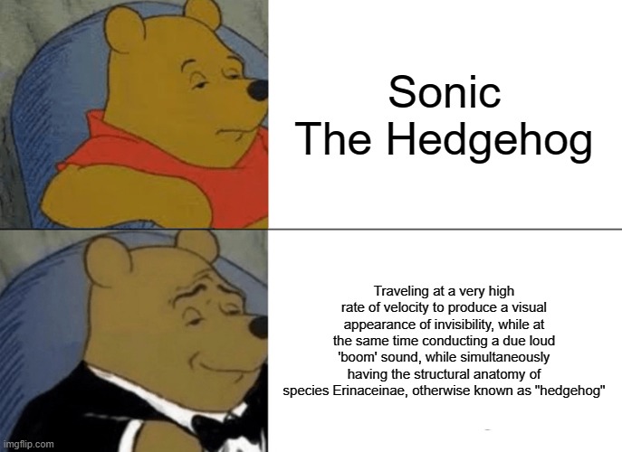 Tuxedo Winnie The Pooh Meme | Sonic The Hedgehog; Traveling at a very high rate of velocity to produce a visual appearance of invisibility, while at the same time conducting a due loud 'boom' sound, while simultaneously having the structural anatomy of species Erinaceinae, otherwise known as "hedgehog" | image tagged in memes,tuxedo winnie the pooh | made w/ Imgflip meme maker