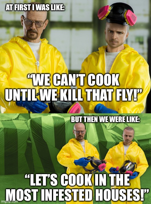 Breaking Bad Logic | AT FIRST I WAS LIKE:; “WE CAN’T COOK UNTIL WE KILL THAT FLY!”; BUT THEN WE WERE LIKE:; “LET’S COOK IN THE MOST INFESTED HOUSES!” | image tagged in heisenberg,breaking bad,walter white,jesse pinkman,shitpost,old | made w/ Imgflip meme maker