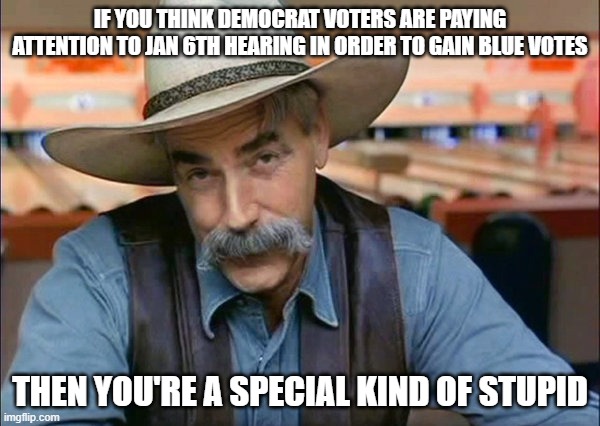 Only Republicans are paying attention to the Jan 6th Hearing | IF YOU THINK DEMOCRAT VOTERS ARE PAYING ATTENTION TO JAN 6TH HEARING IN ORDER TO GAIN BLUE VOTES; THEN YOU'RE A SPECIAL KIND OF STUPID | image tagged in sam elliott special kind of stupid,jan 6 | made w/ Imgflip meme maker