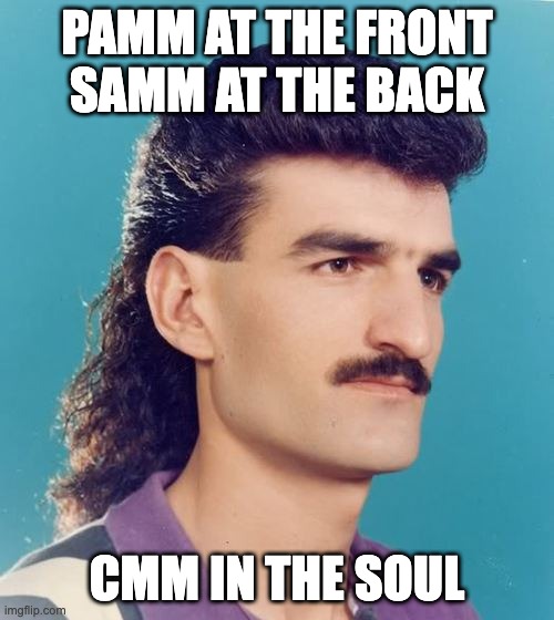 mullet  |  PAMM AT THE FRONT
SAMM AT THE BACK; CMM IN THE SOUL | image tagged in mullet | made w/ Imgflip meme maker