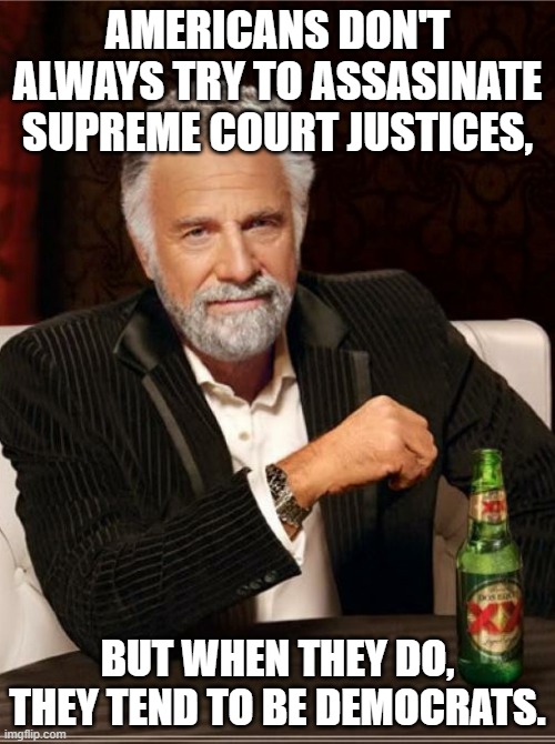 smartest man in the world | AMERICANS DON'T ALWAYS TRY TO ASSASINATE SUPREME COURT JUSTICES, BUT WHEN THEY DO, THEY TEND TO BE DEMOCRATS. | image tagged in smartest man in the world | made w/ Imgflip meme maker