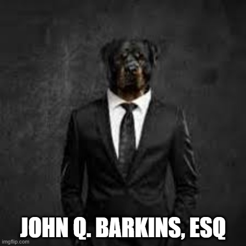 Envision It | JOHN Q. BARKINS, ESQ | image tagged in funny dogs | made w/ Imgflip meme maker